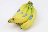 Chiquita Bananen (1Kg)